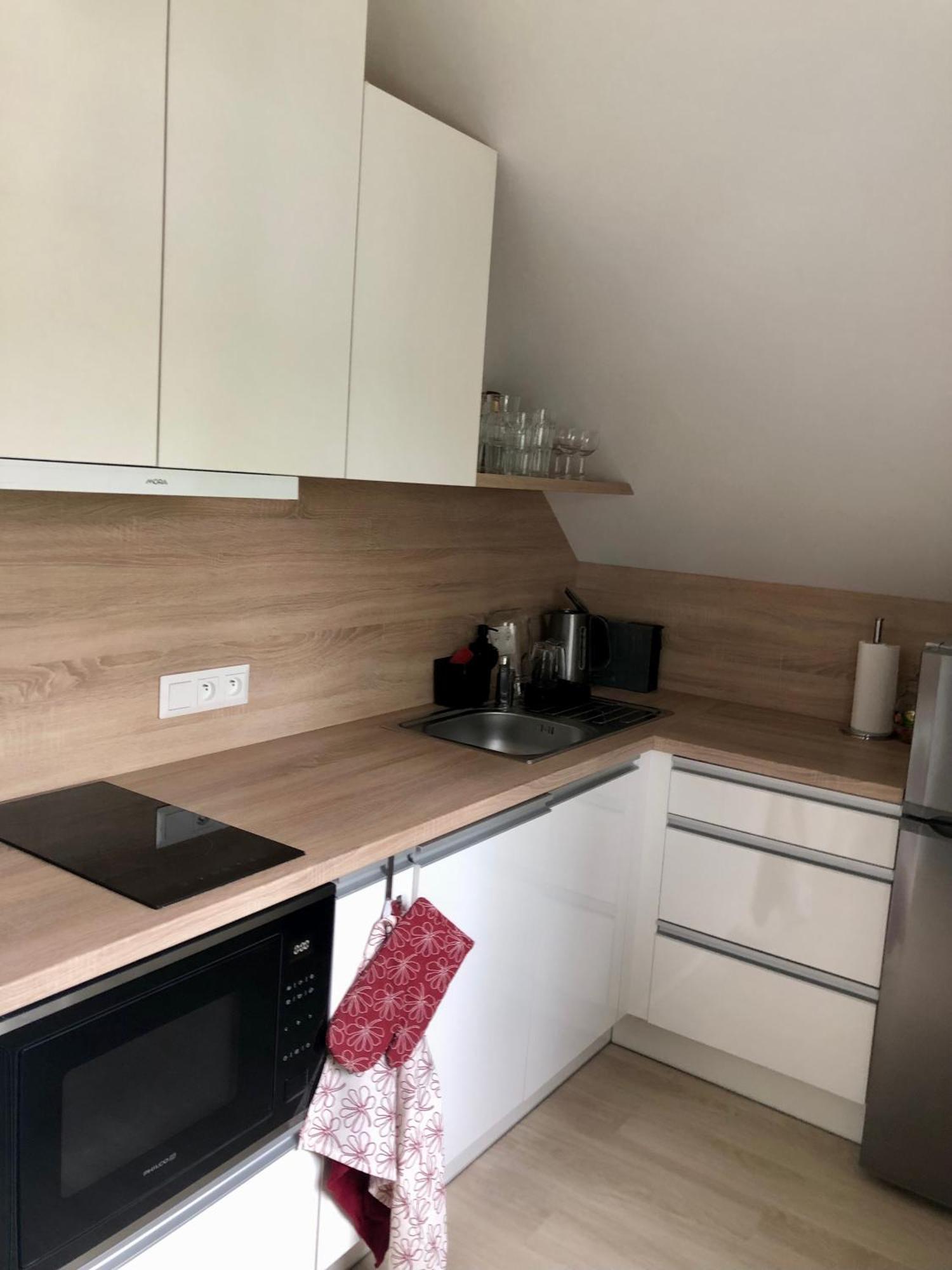 Apartman Krusne Hory - Erzgebirge Horní Blatná Exterior foto